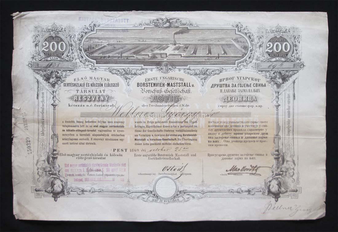 Elsõ Magyar Sertéshizlaló Társulat részvény 200 forint 1869